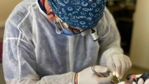 השתלת שיניים לסת עליונה